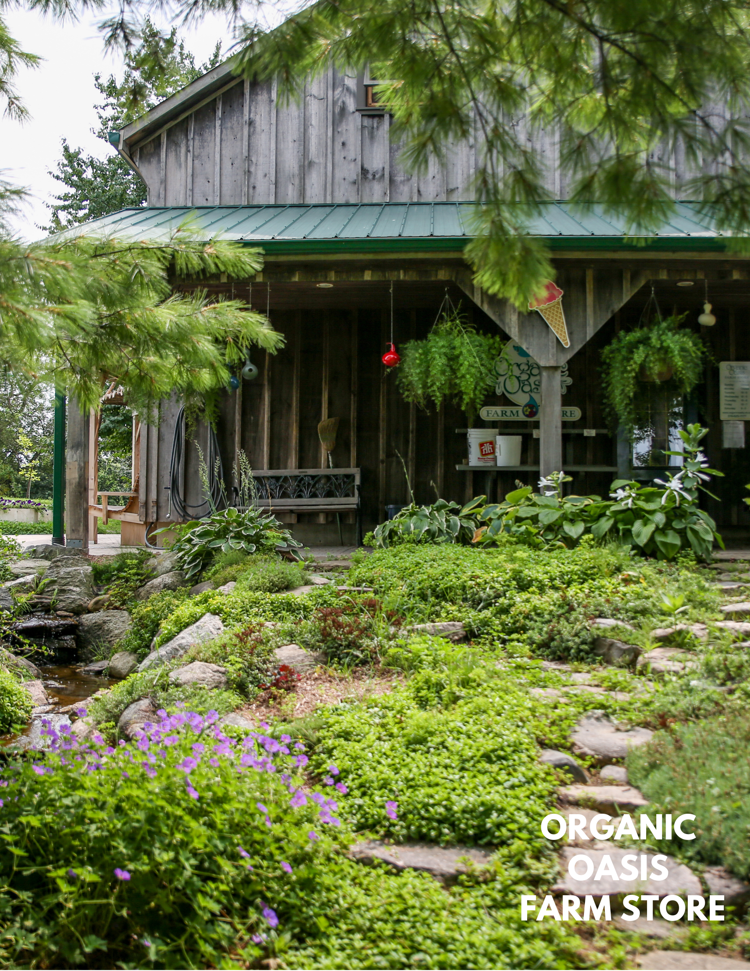 Organic Oasis Farm Store