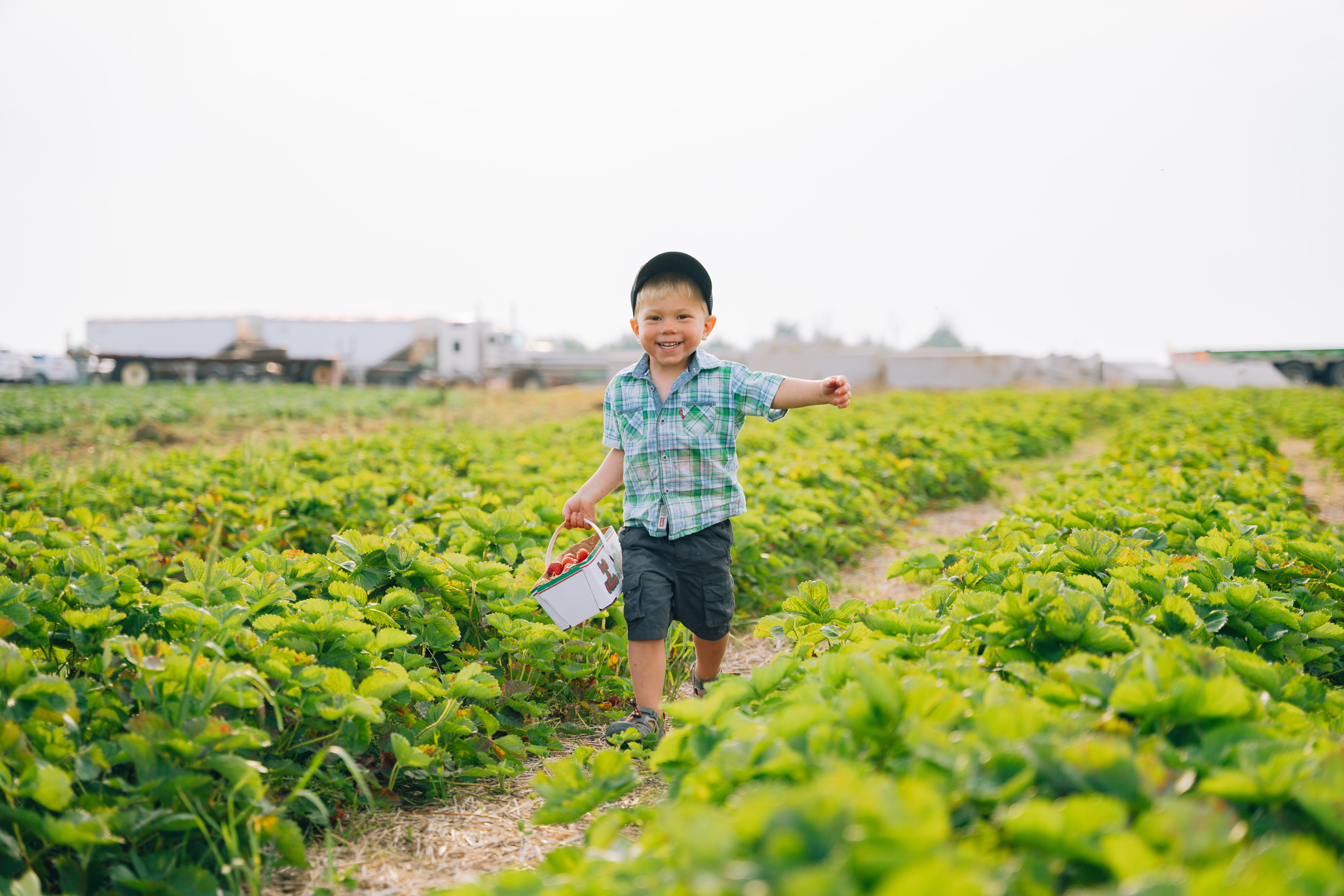 Boy running through a strawberry patch