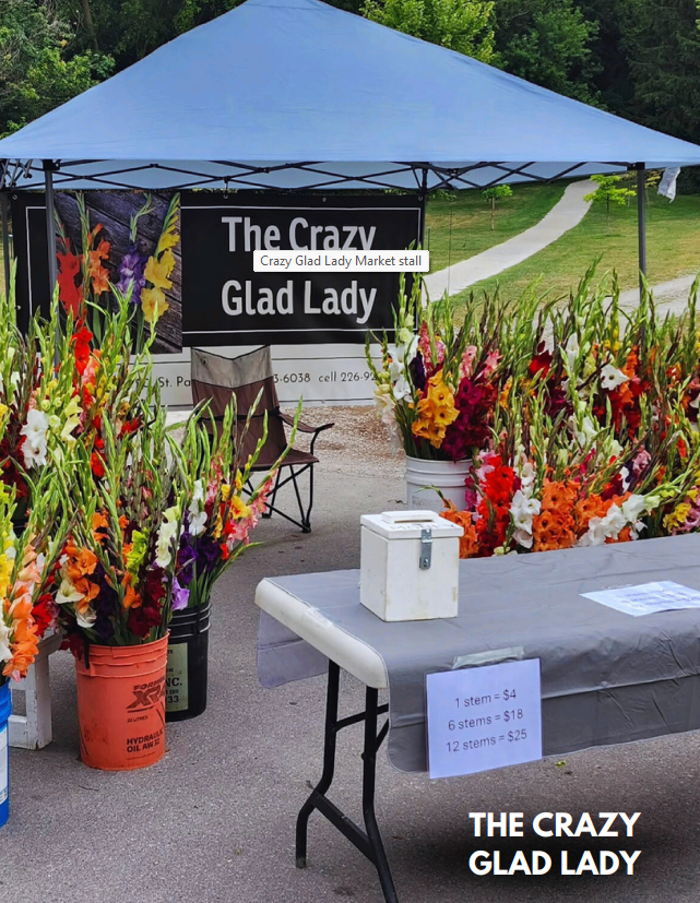 Crazy Glad Lady farm stand