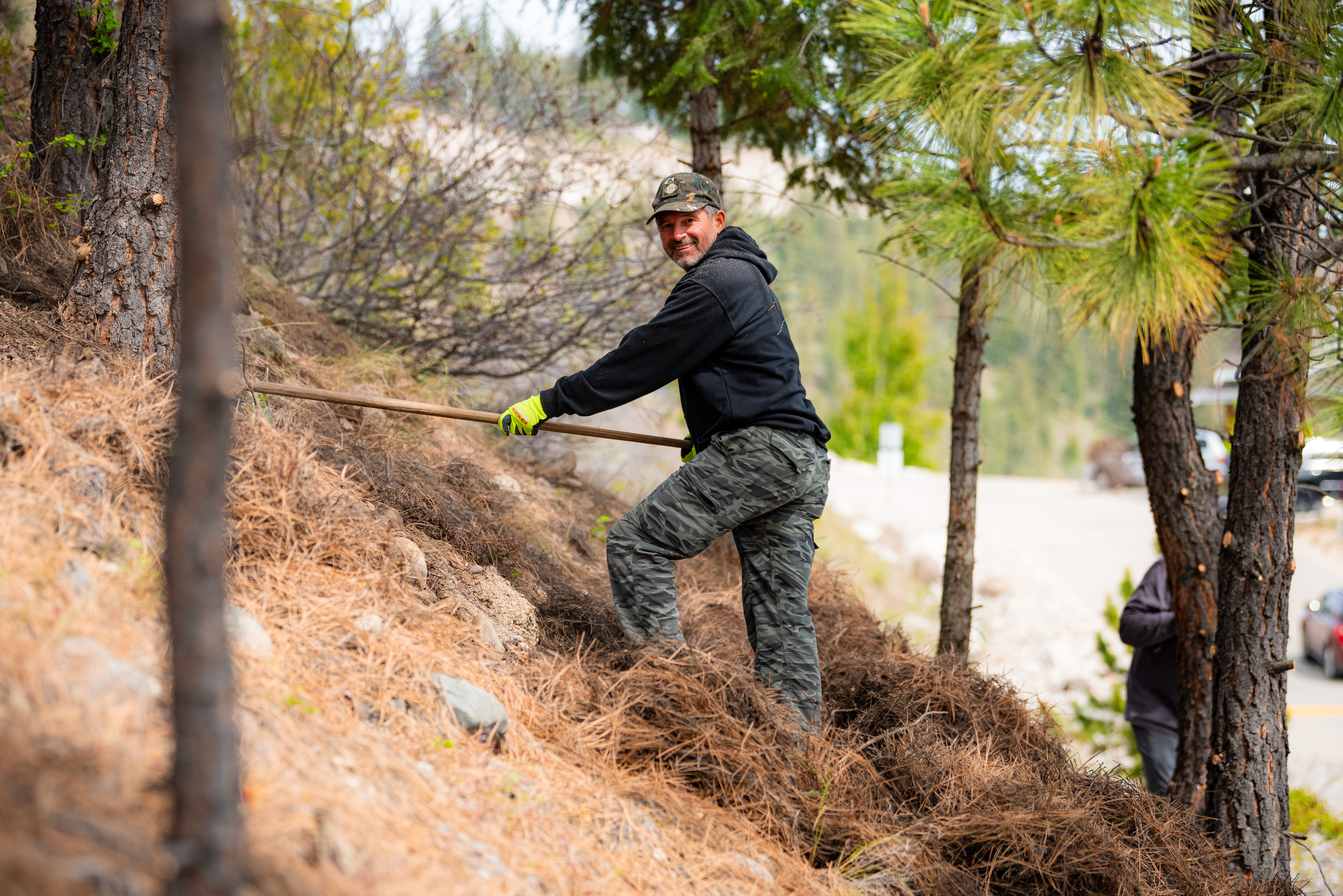 Person rakes dry pine needles on a hillside as part of FireSmart vegetation cleanup