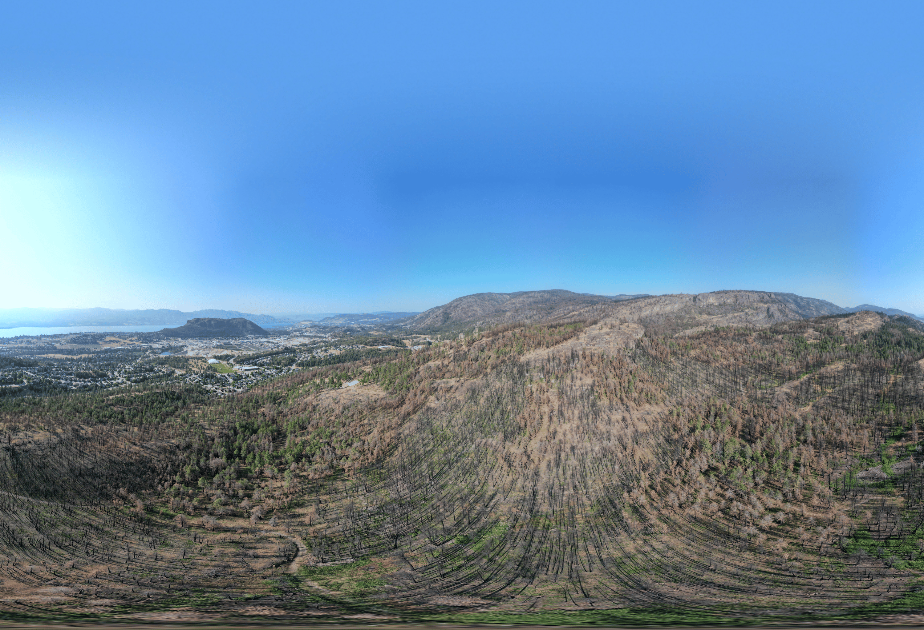 rose-valley.png