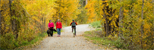 Mission_Creek_Regional_Park.jpg