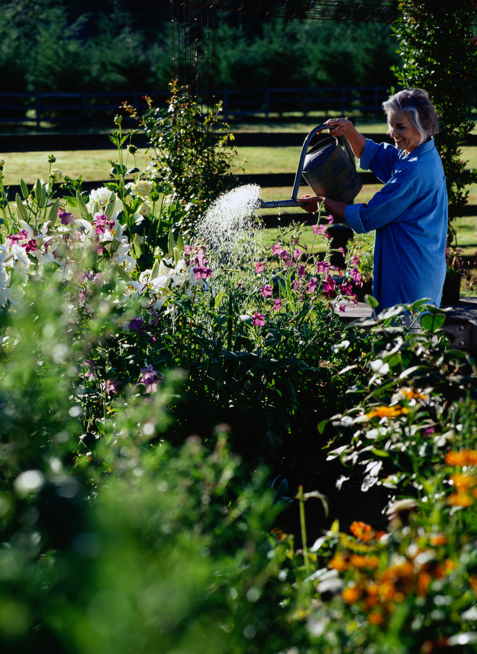 Person watering garden with watering can.