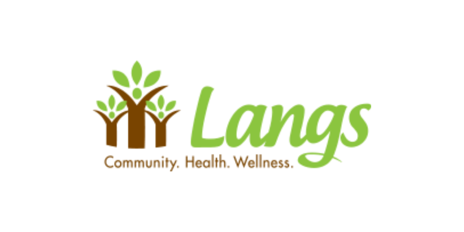 This button opens Langs website in a new tab
