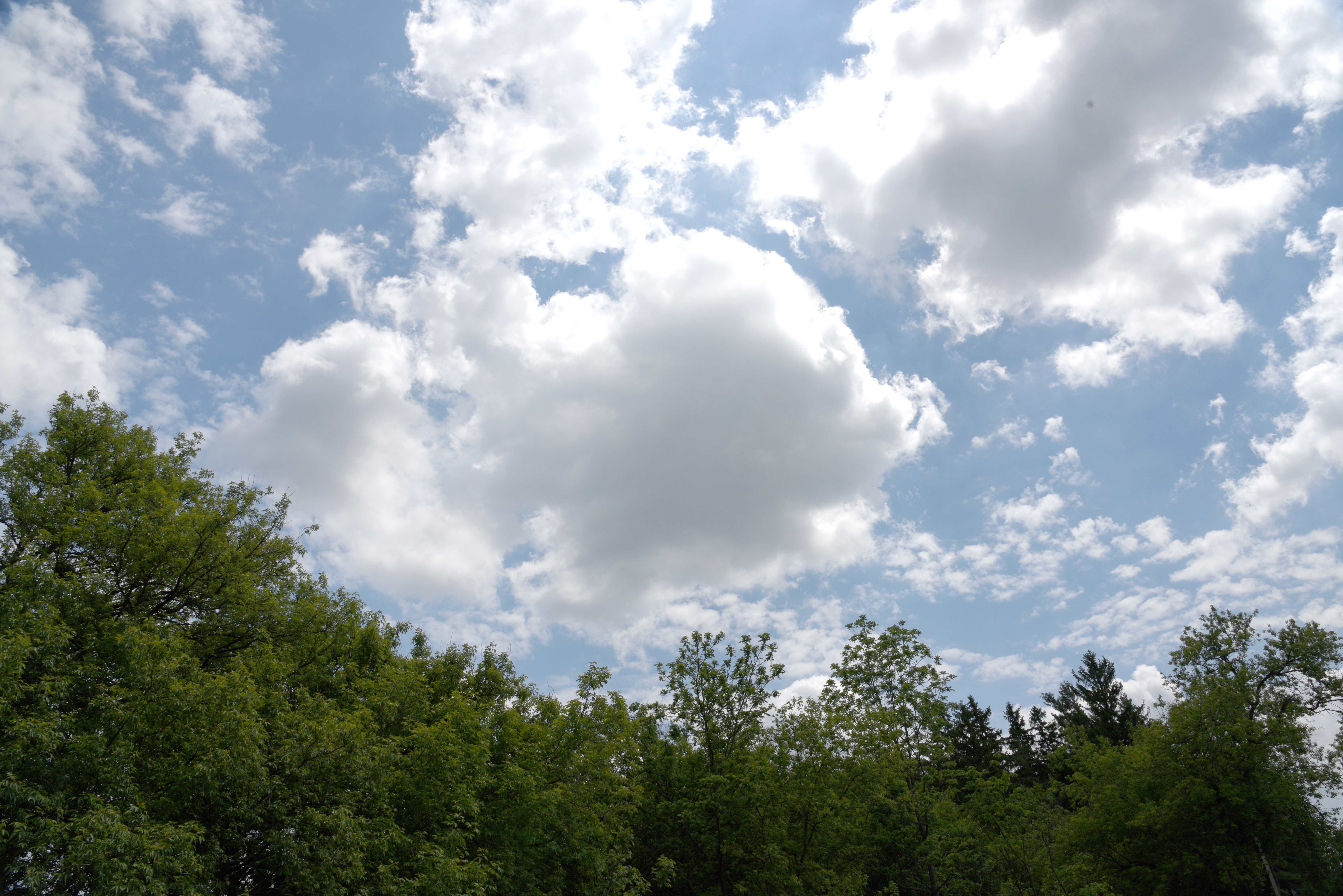 clouds in the sky framed at the bottom by trees
