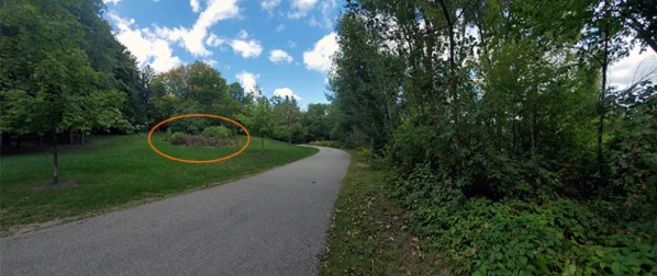 Lakeside Park walking trail in Kitchener
