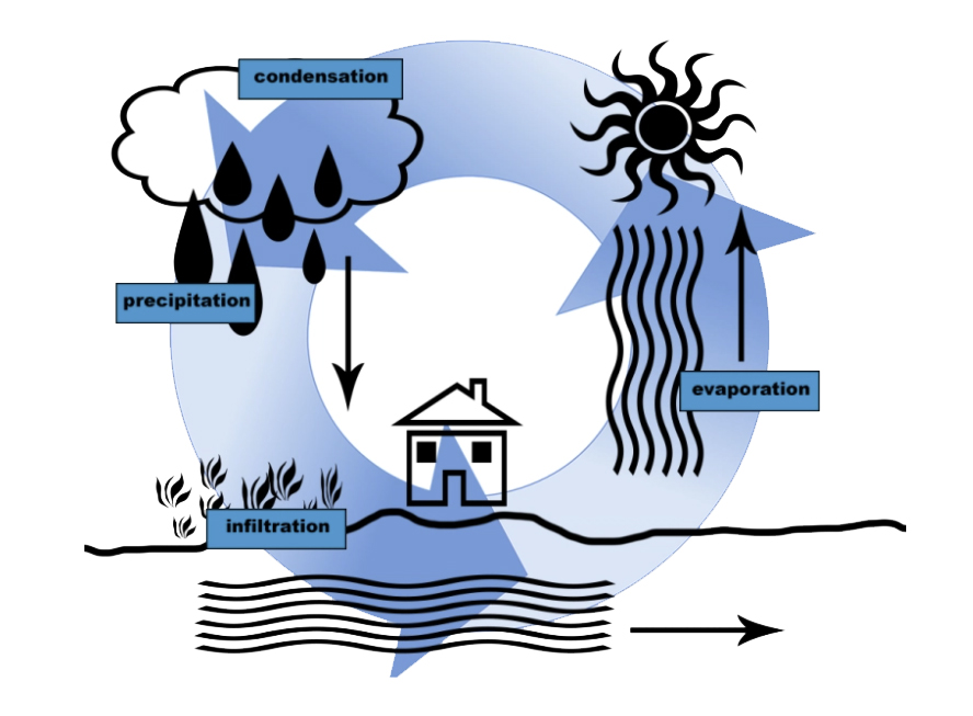water cycle