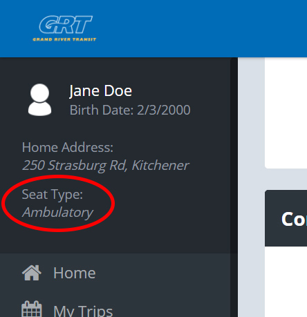 Screenshot of seat type