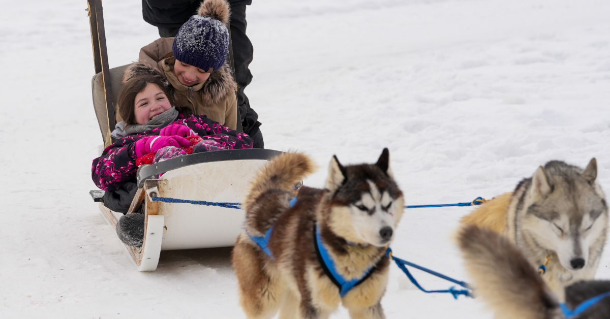 Two children enjoy a free dogsledding ride at WinterPLAY