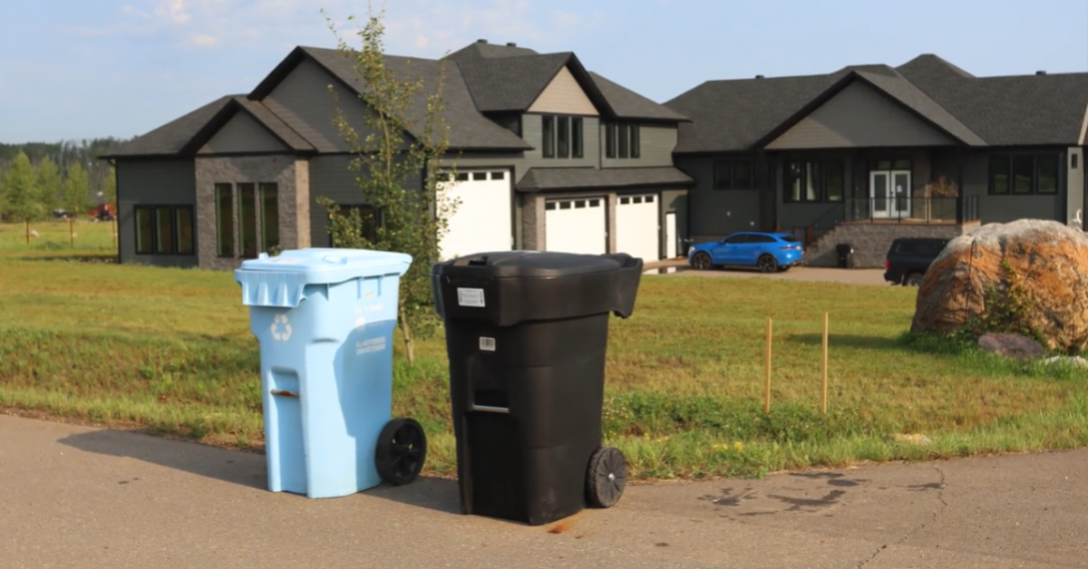 Bear Bin