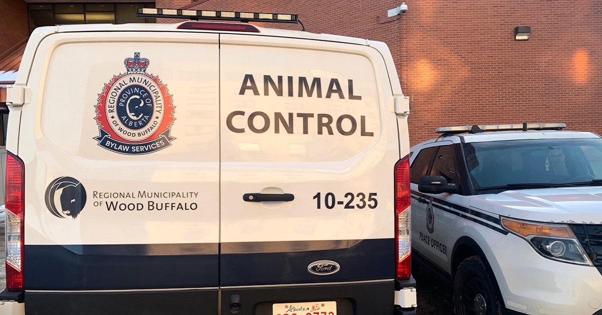 animal control vehicles