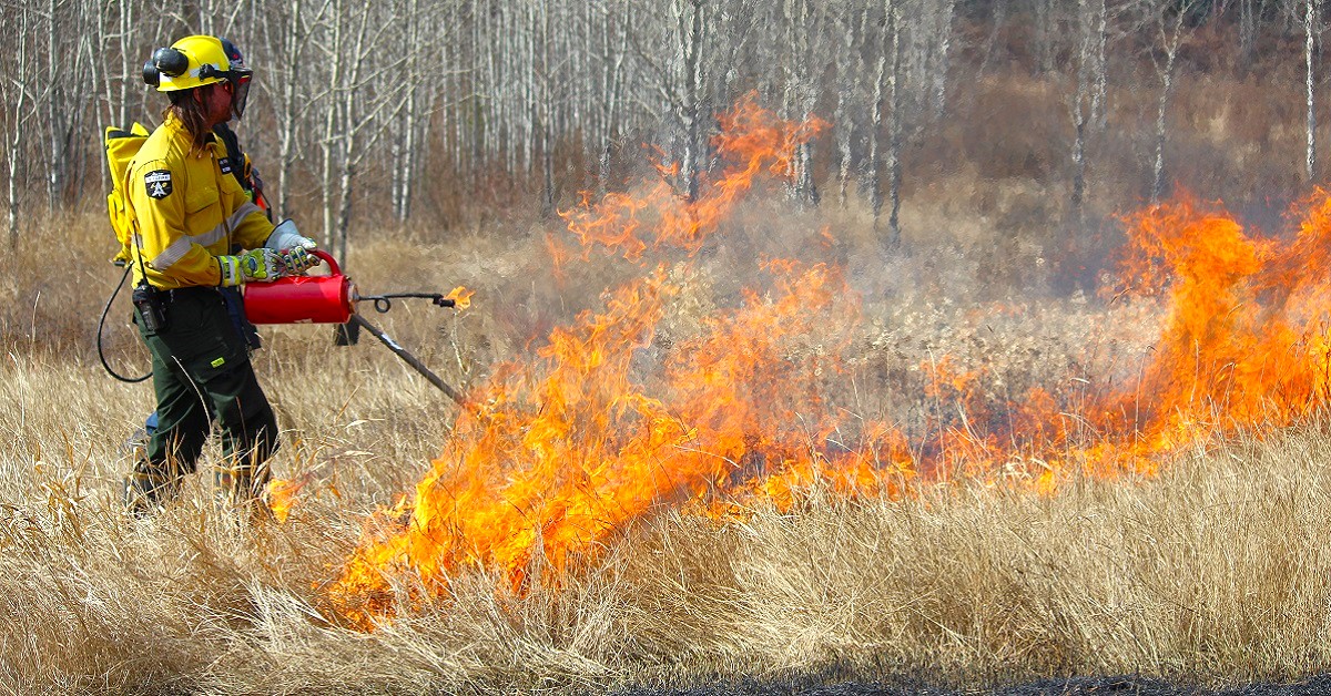 controlled burning