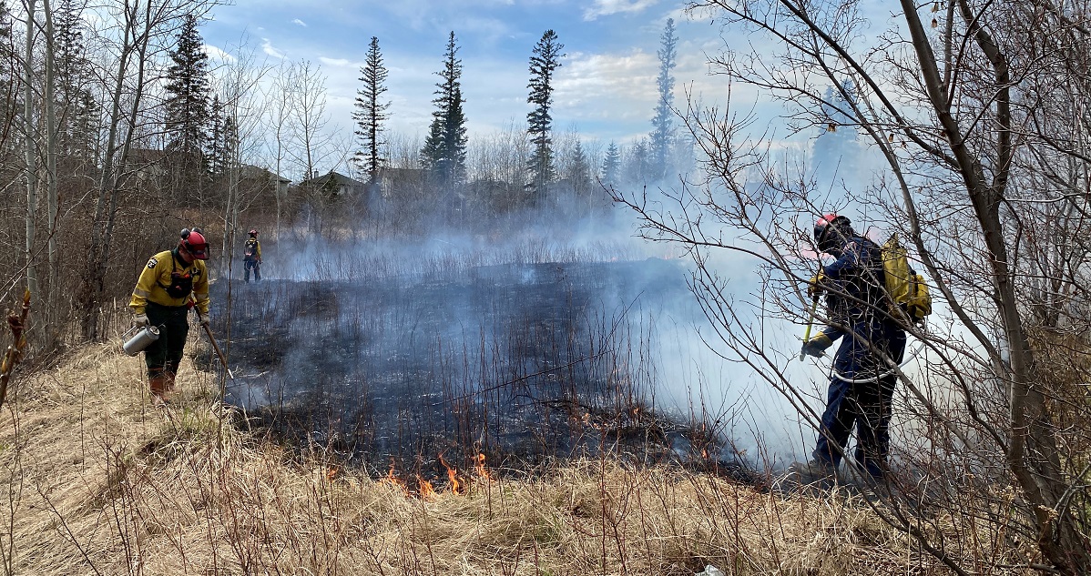 firefighters put out grass fire