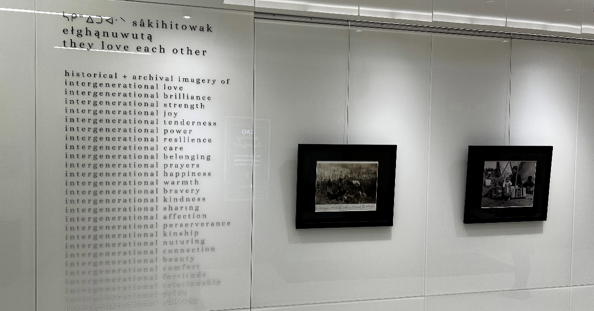 Picture of the art gallery They Love Each Other in Jubilee Centre