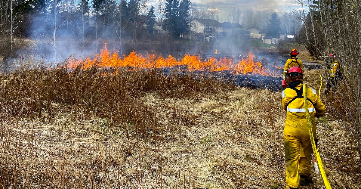 controlled burning
