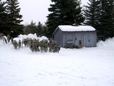 Snowshoe Photo