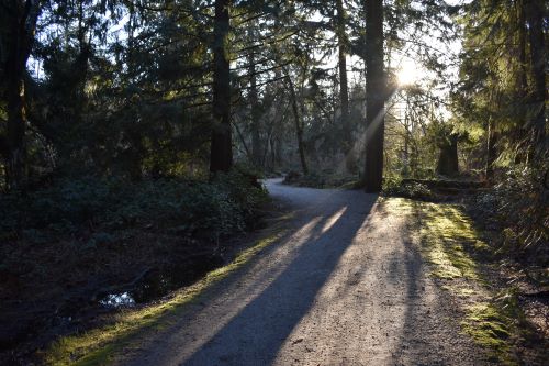 trail