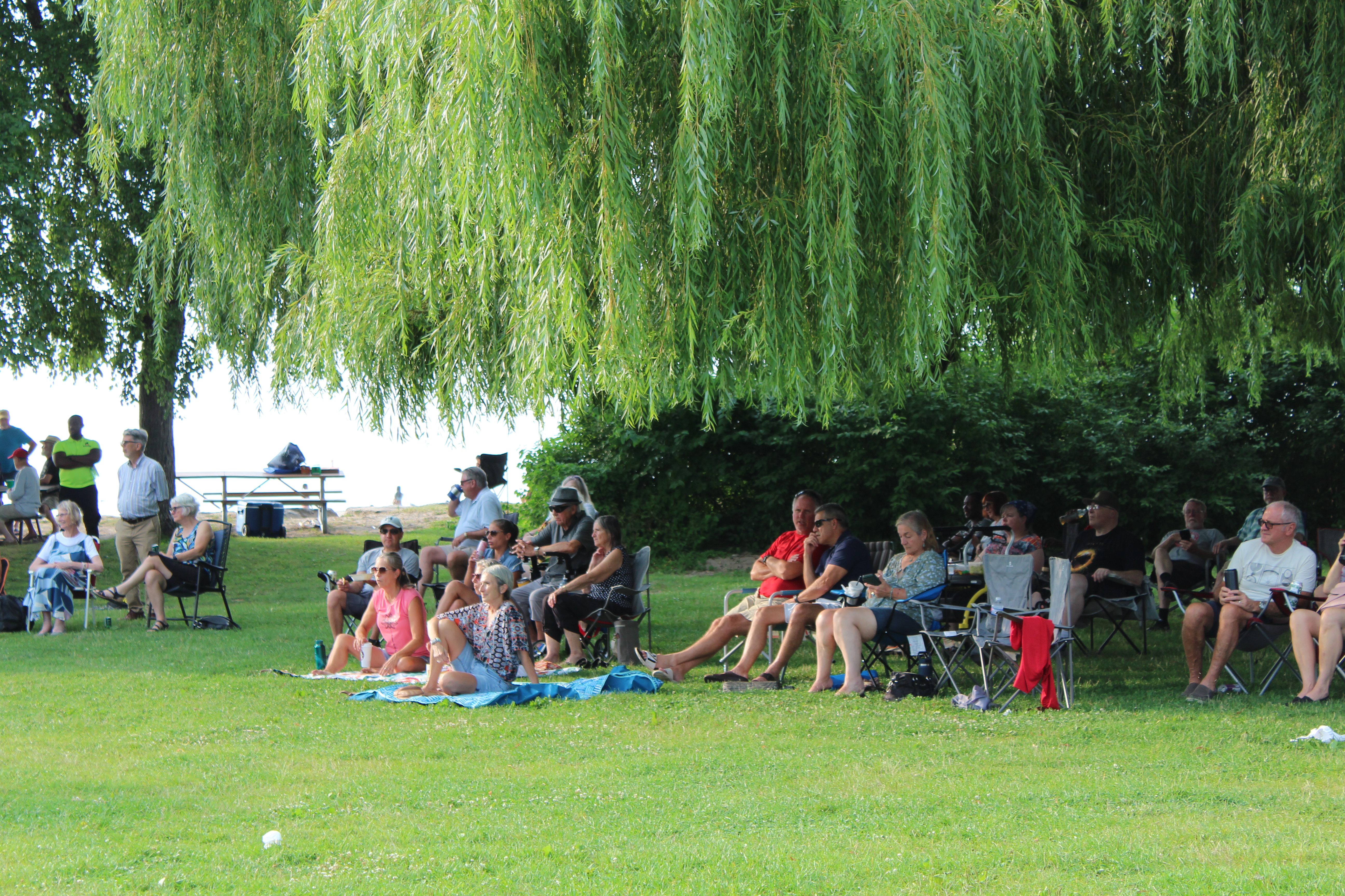 People sit on lawn chairs under a huge willow tree during a 2024 Summer Concerts in the Park concert.