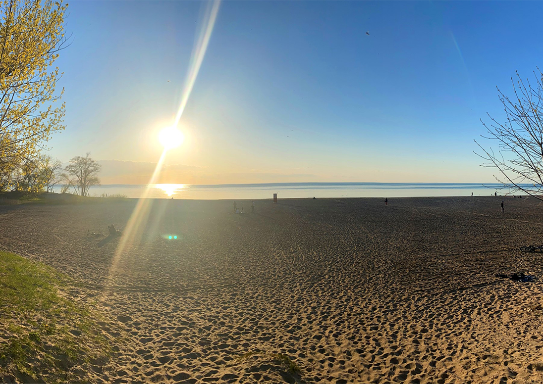 beach_banner.png