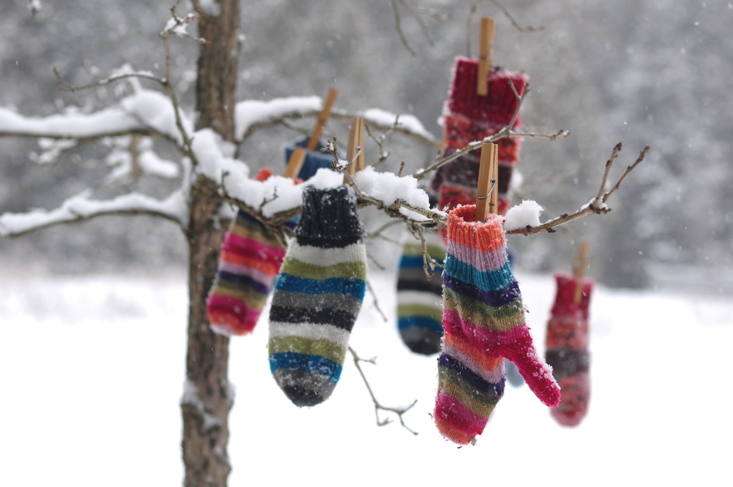 Mittens pinned to a tree in winter