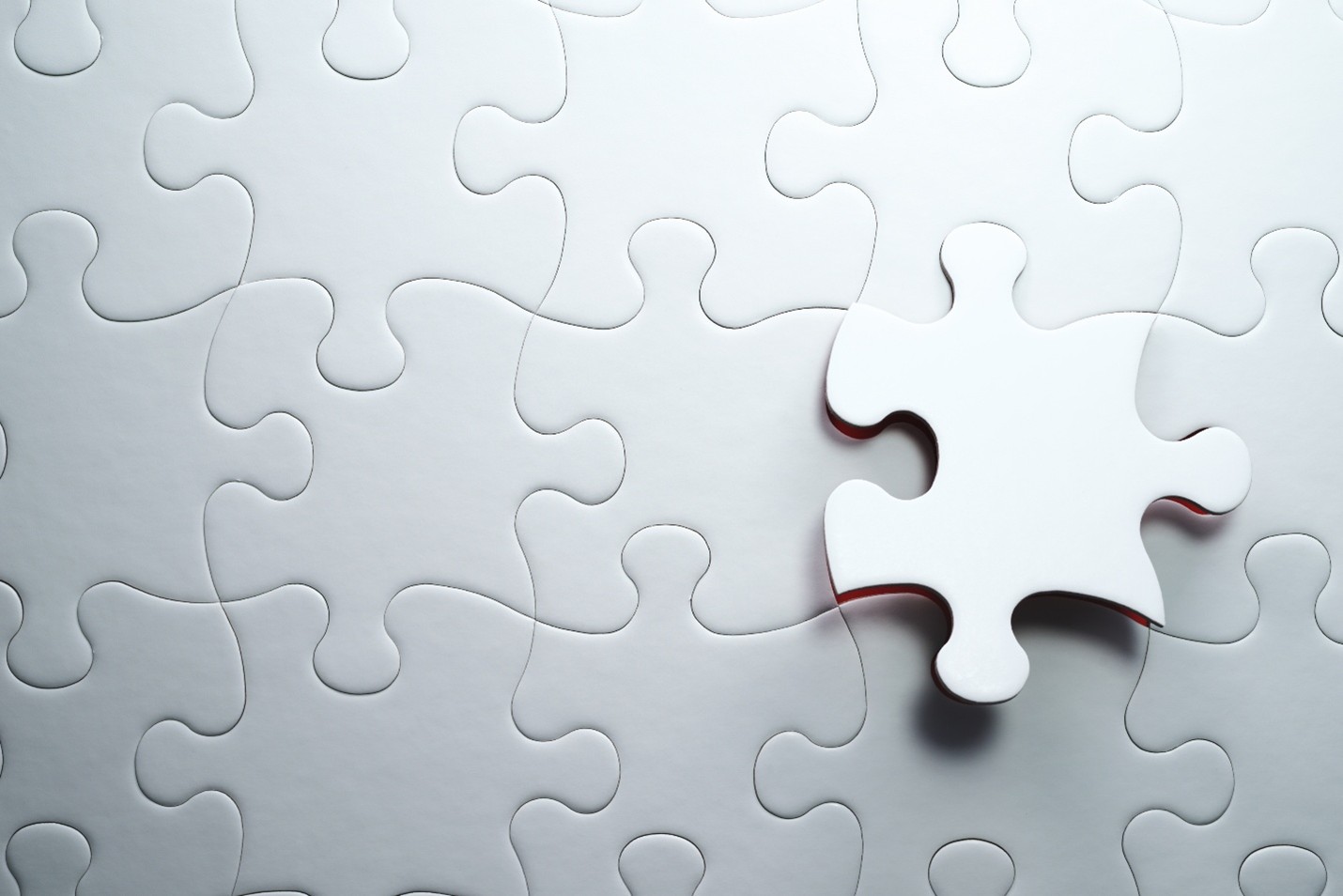 Puzzle piece image