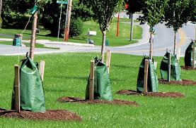 A green plastic bag that stores water around the trunk of a tree