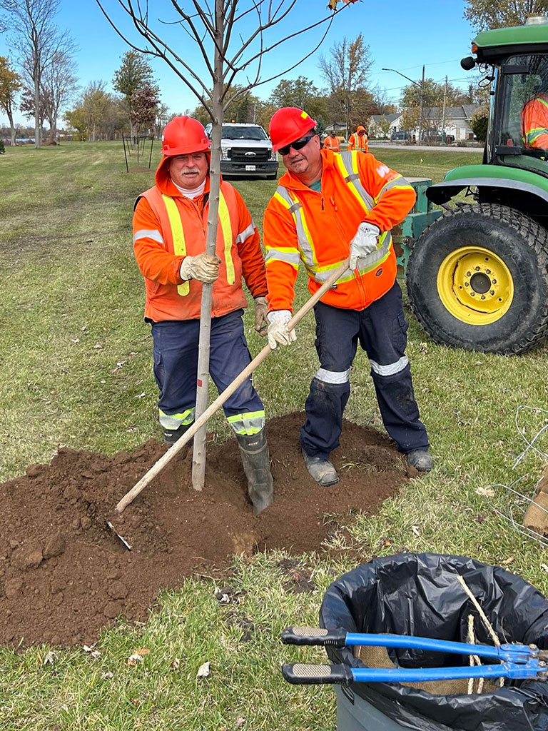 outside workers planting trees
