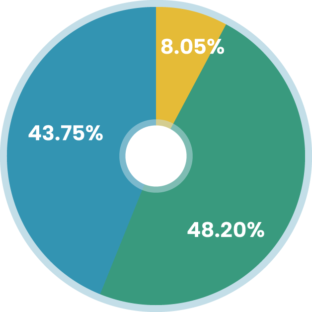2025 pie chart