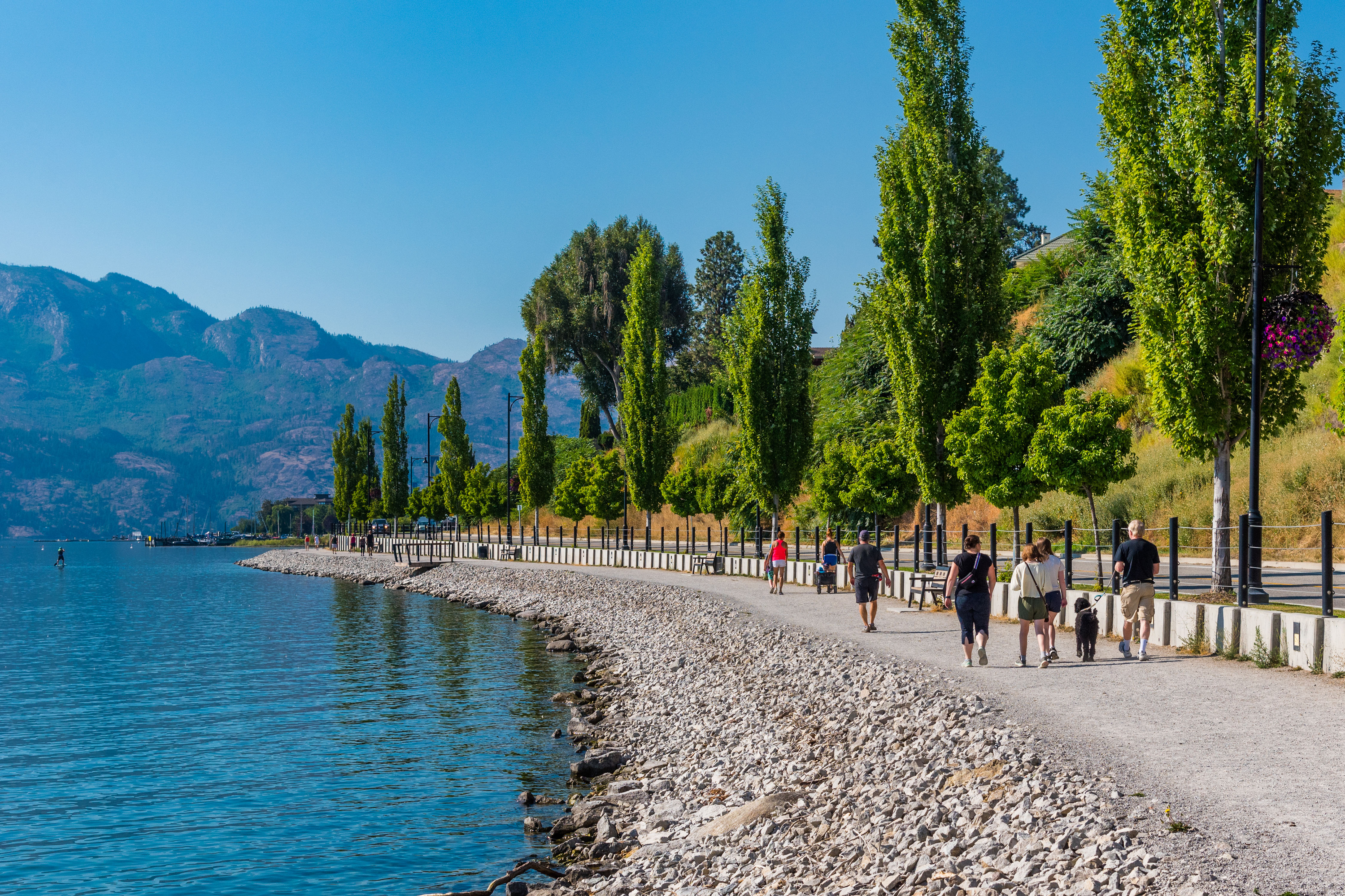 People walk their dogs on a gravel, lakeside trail.