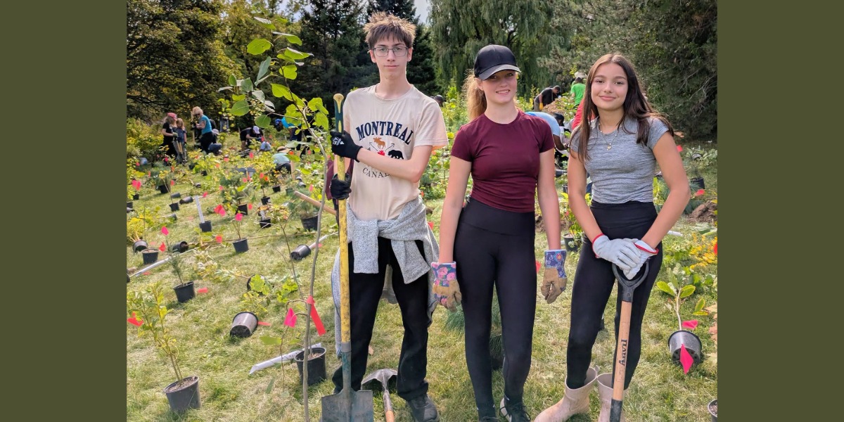 Three people posing while planting trees