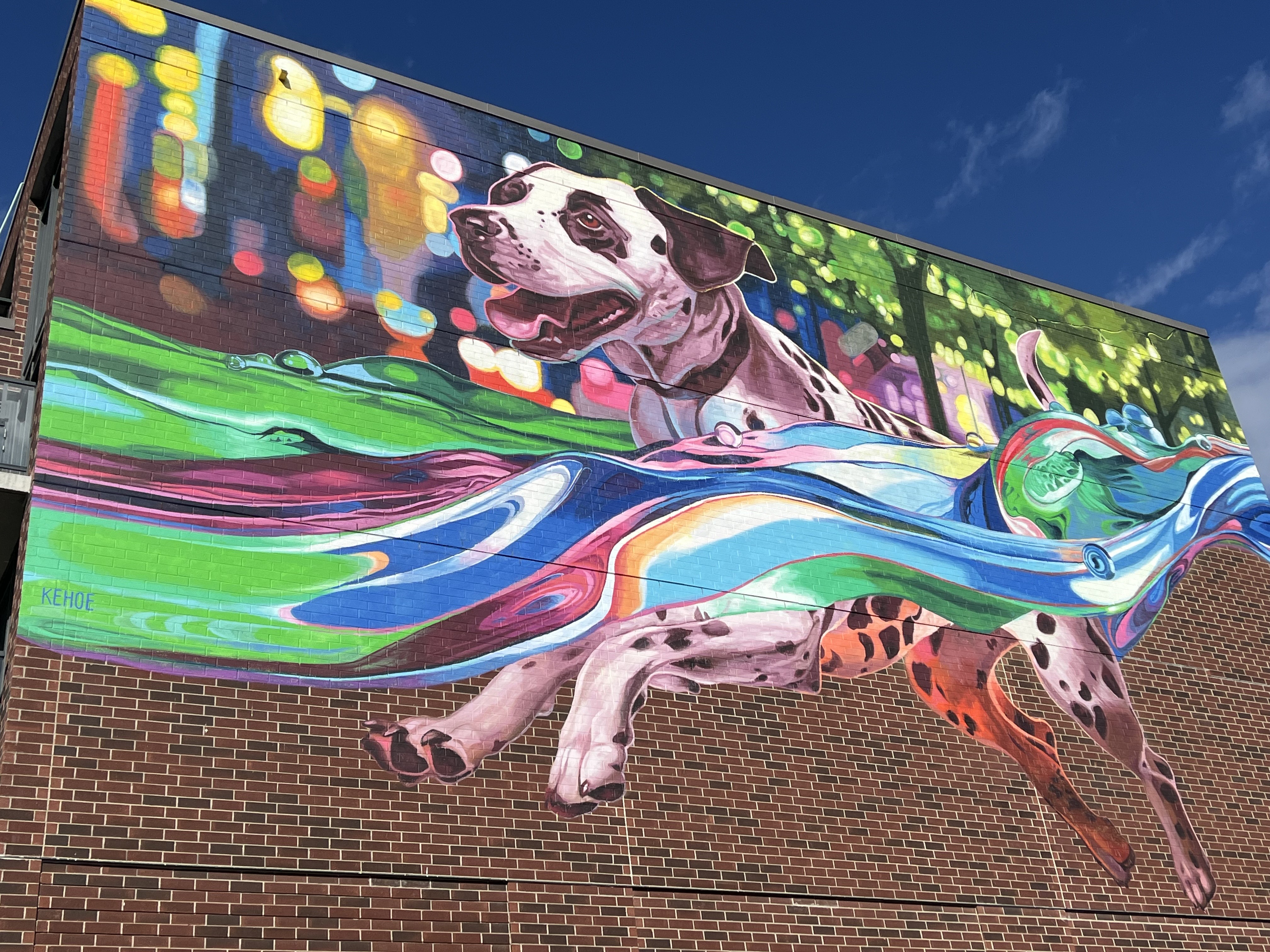 Large dalmatian mural splashing into a colourful water wave 